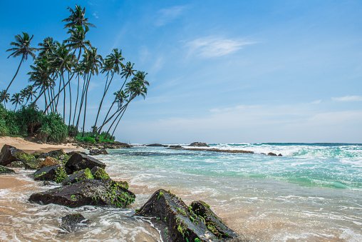 South Coast