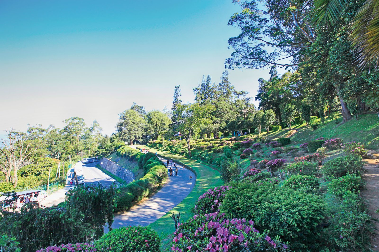 Hakgala Botanical Garden